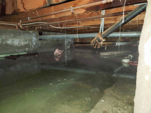 Best Carpet water damage restoration  in Towaco, NJ
