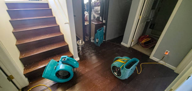 Best Ceiling water damage repair  in Towaco, NJ