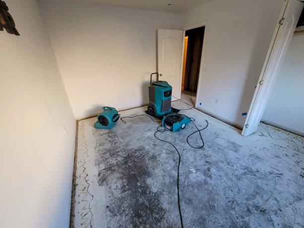 Best 24-hour water damage restoration  in Towaco, NJ