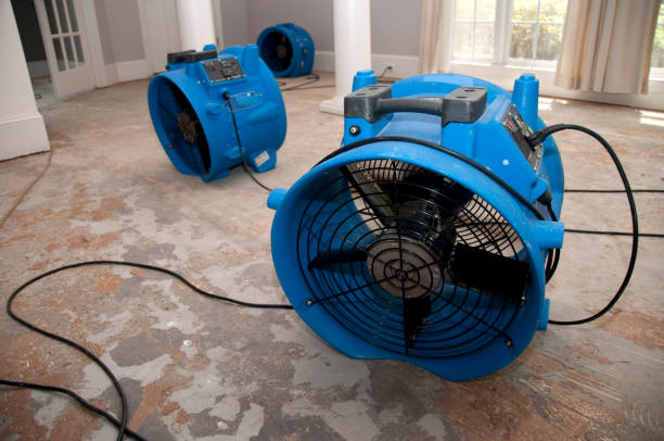 Best Basement water damage restoration  in Towaco, NJ