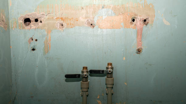 Best Water damage restoration company  in Towaco, NJ