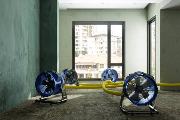 Best Sewage cleanup and water damage restoration  in Towaco, NJ